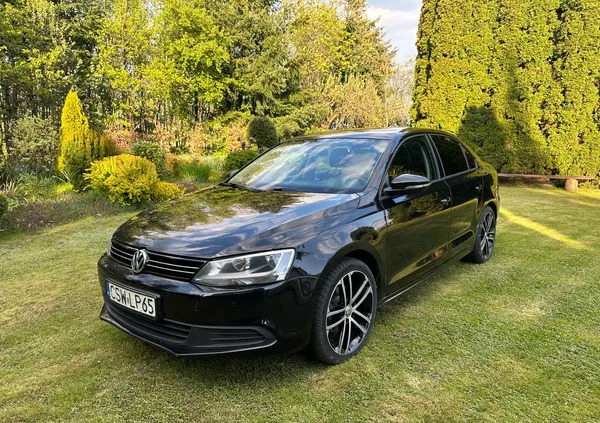 Volkswagen Jetta cena 28500 przebieg: 335000, rok produkcji 2014 z Frombork małe 154